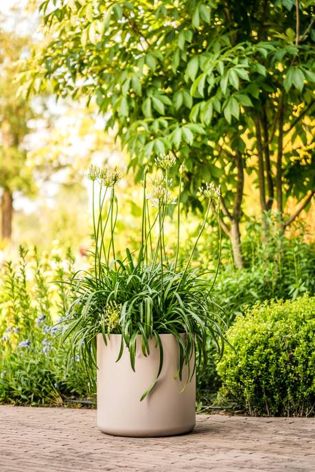 pure cilinder wheels 50 greige